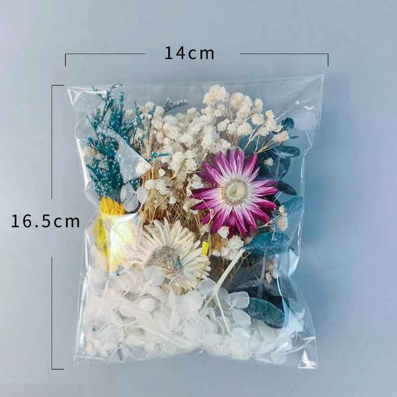 1pack Multifarious Dried Flowe - đánh giá và giá Craft Embellishments